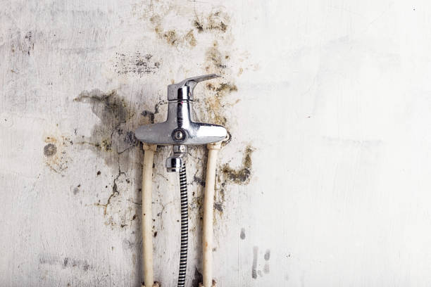 Best Mold Remediation for Specific Building Types in Athens, MI