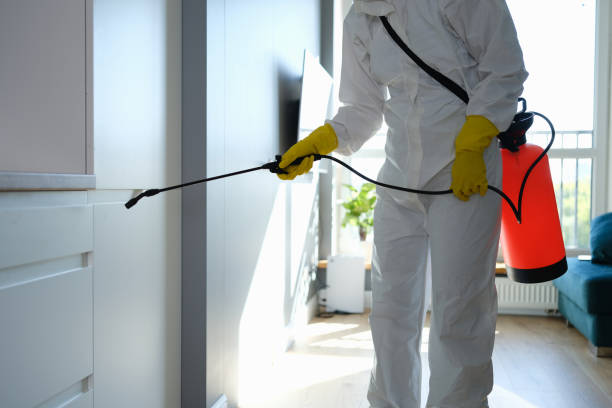 Trusted Athens, MI Mold Remediation Experts